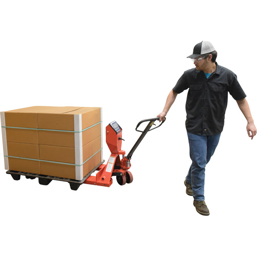 Transpalette, 48" lo x 27,5" la, Capacit&eacute; de 5000 lb Air Extreme Inc.