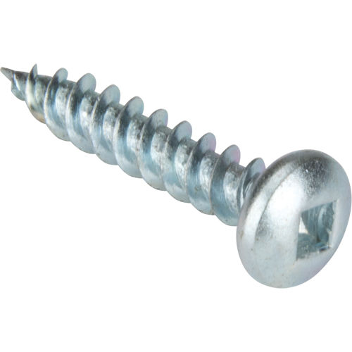 Vis taraudeuse &agrave; t&ecirc;te cylindrique, #10 x 1-1/4" lo, Zingu&eacute; Air Extreme Inc.