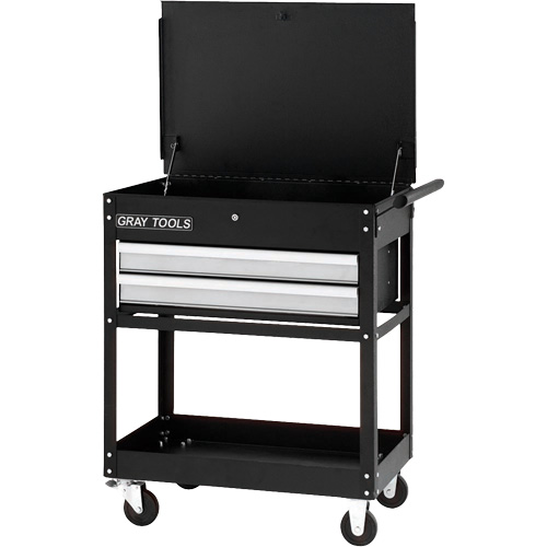 Chariot utilitaire, 2 tiroirs, 30-1/4" lo x 19" la x 35-3/4" h, Noir Air Extreme Inc.