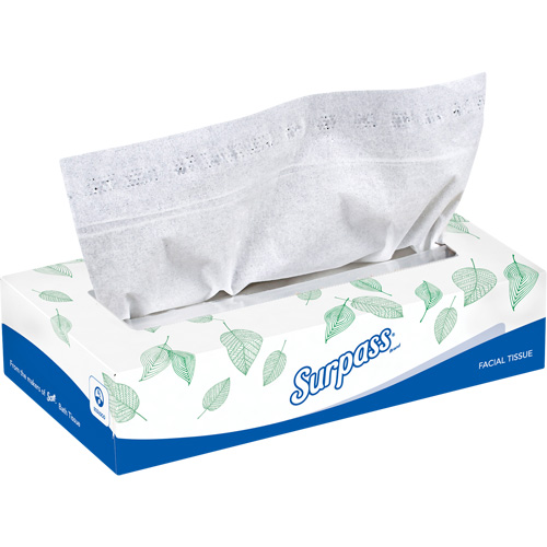 Surpass&reg; Facial Tissue, 2 Ply, 8.3" L x 7.8" W, 100 Sheets/Box Air Extreme Inc.