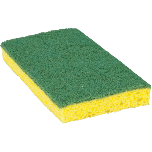 &eacute;ponge &agrave; r&eacute;curer pour travaux moyens Scotch-Brite, &agrave; r&eacute;curer, 3-3/5" la x 6-1/10" l Air Extreme Inc.
