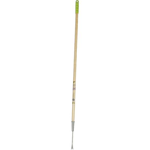 Dandelion Weeder Air Extreme Inc.