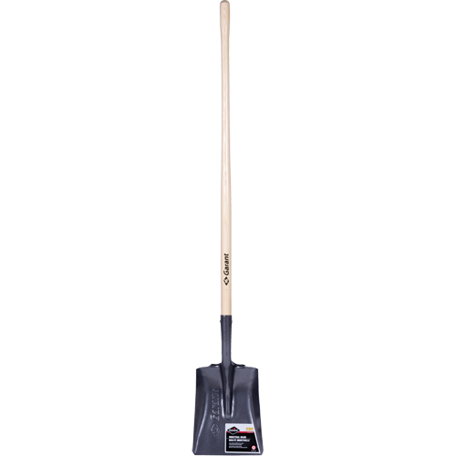 Pro Square Point Shovel, Wood, Tempered Steel Blade, Straight Handle, 48" Long Air Extreme Inc.