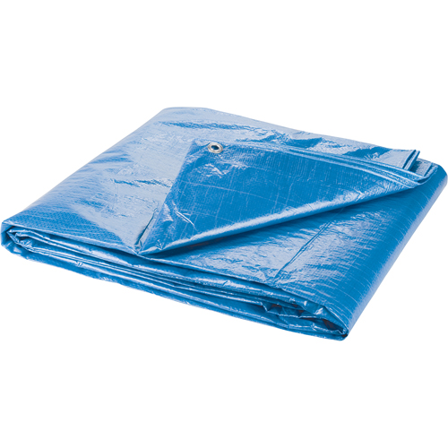 Tarp, Standard Duty, Blue, 7' x 5' x 4 mils Air Extreme Inc.