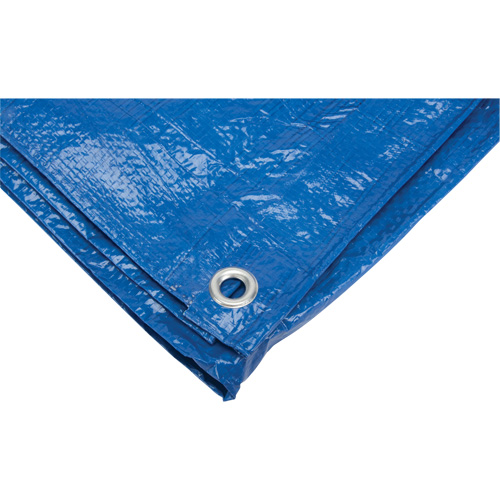 Tarp, Standard Duty, Blue, 7' x 5' x 4 mils Air Extreme Inc.