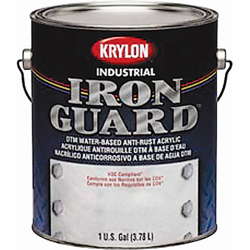 &eacute;mail industriel &agrave; base d'eau Iron Guard, Canette, Gris Air Extreme Inc.