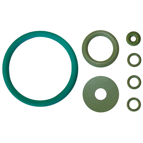 BIO-CIRCLE Replacement Gasket Set Air Extreme Inc.