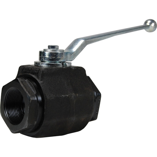 High Pressure Full-Bore Ball Valve, Steel, Manual, FNPT x FNPT Air Extreme Inc.