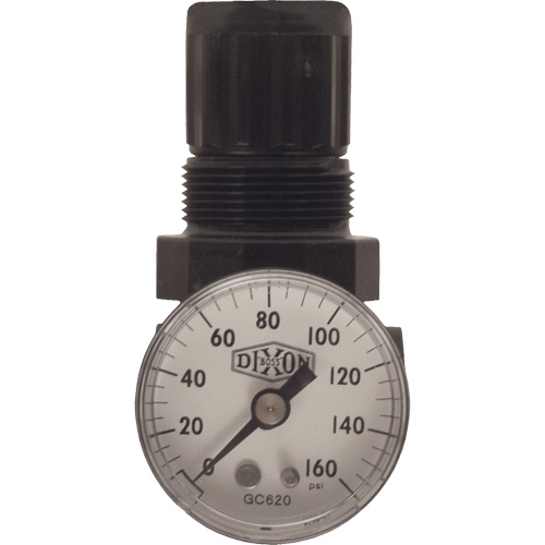 R&eacute;gulateur miniature de s&eacute;rie 1, 1/8" NPT, PSI max. de 100 psi, Standard Air Extreme Inc.