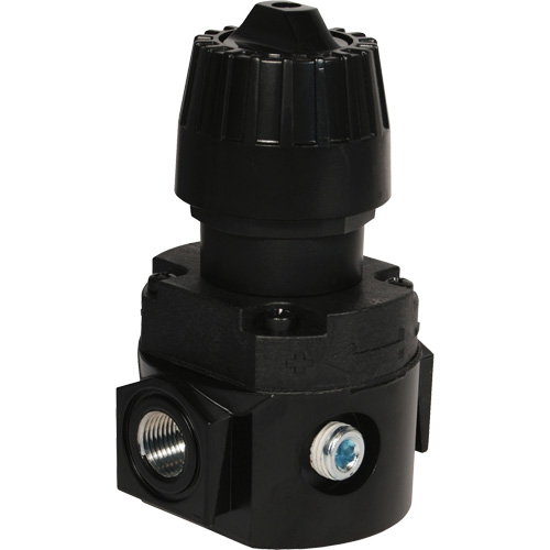 R&eacute;gulateur compact R16 Wilkerson, 1/4" NPT, PSI max. de 300 psi, Standard Air Extreme Inc.