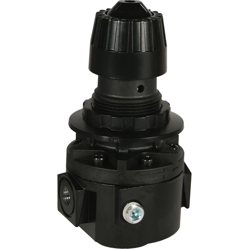 R&eacute;gulateur Wilkerson R26, 1/2" NPT, PSI max. de 300 psi, Standard Air Extreme Inc.