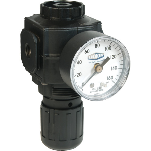 R&eacute;gulateur compact de s&eacute;rie 1, 1/2" NPT, PSI max. de 150 psi, Standard Air Extreme Inc.