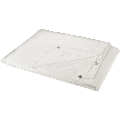 Tarp, Heavy-Duty, White, 30' x 20' x 6 mils Air Extreme Inc.