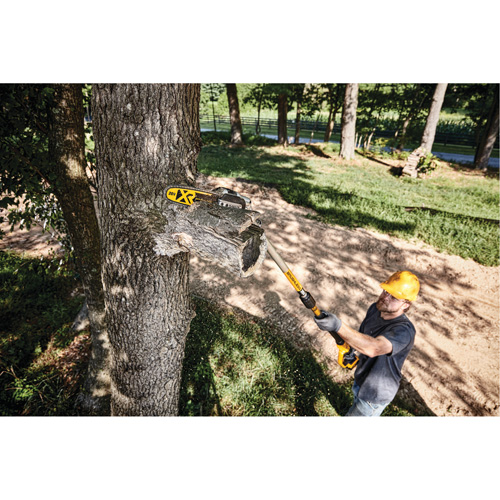 MAX* XR Cordless Polesaw Kit Air Extreme Inc.