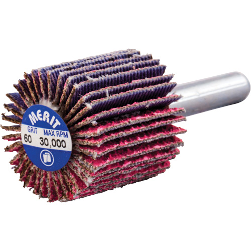 Mini-meule &agrave; lamelles mont&eacute;e sur tige, C&eacute;ramique d'alumine, Grain 60, 1" x 1" x 1/4" Air Extreme Inc.
