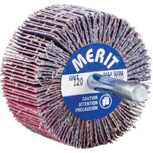 Shank Mounted Mini Flap Wheel, Ceramic Alumina, 120 Grit, 2" x 1" x 1/4" Air Extreme Inc.