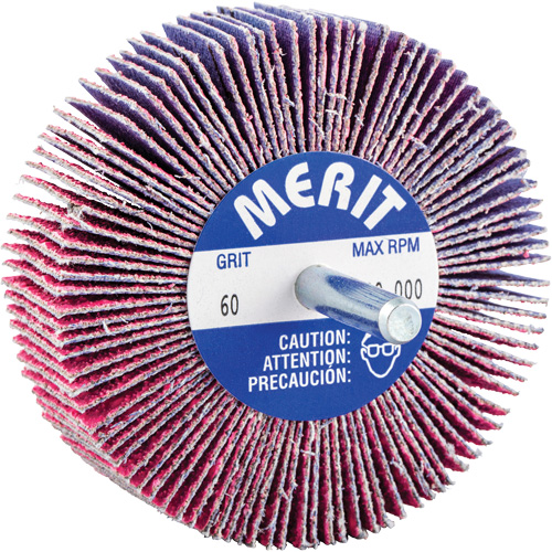 Shank Mounted Mini Flap Wheel, Ceramic Alumina, 60 Grit, 3" x 1" x 1/4" Air Extreme Inc.