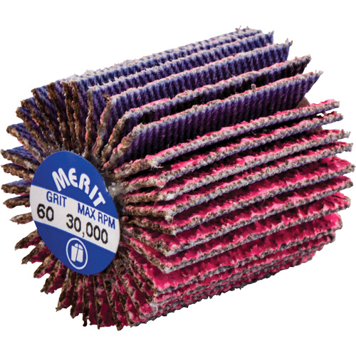 Mini-meule &agrave; lamelles filet&eacute;es, C&eacute;ramique d'alumine, Grain 60, 1" x 1" x 1/4"-20 Air Extreme Inc.