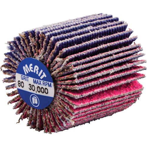 Mini-meule &agrave; lamelles filet&eacute;es, C&eacute;ramique d'alumine, Grain 80, 1" x 1" x 1/4"-20 Air Extreme Inc.