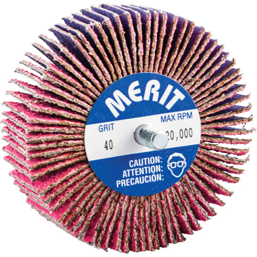 Threaded Mini Flap Wheel, Ceramic Alumina, 40 Grit, 3" x 1" x 1/4"-20 Air Extreme Inc.