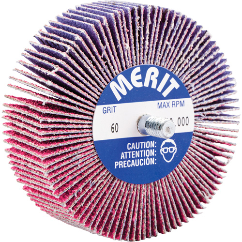 Threaded Mini Flap Wheel, Ceramic Alumina, 60 Grit, 3" x 1" x 1/4"-20 Air Extreme Inc.