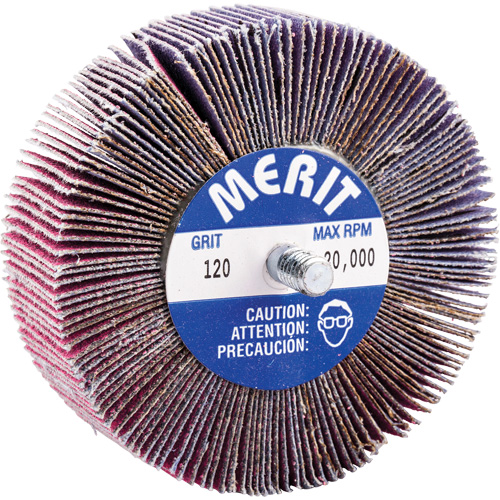 Mini-meule &agrave; lamelles filet&eacute;es, C&eacute;ramique d'alumine, Grain 120, 3" x 1" x 1/4"-20 Air Extreme Inc.