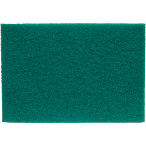 Tampons manuels Bear-Tex, Oxyde d'aluminium, 6" x 9", Grain Tr&egrave;s fin Air Extreme Inc.
