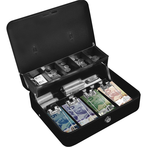 Coffre-caisse de luxe avec plateau divis&eacute; Air Extreme Inc.