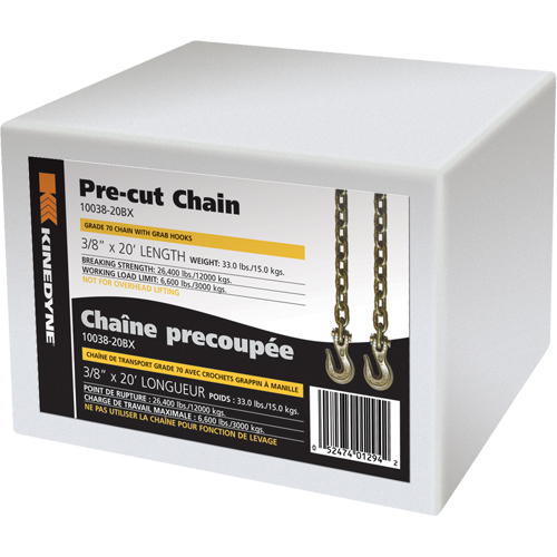 Chains Air Extreme Inc.