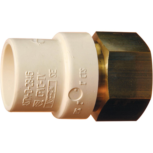 Adaptateur de tuyau filet&eacute;, Noeud x FPT, 1-1/4" dia., Laiton/PVC-C Air Extreme Inc.