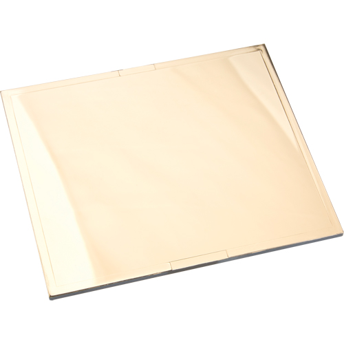 Plaques filtrantes Omni-View en or Air Extreme Inc.
