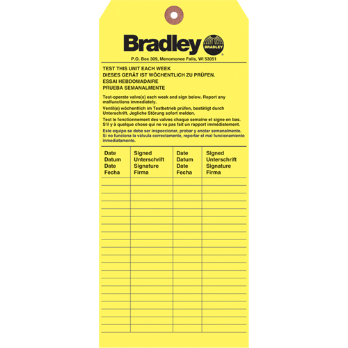 Inspection Tag, Paper, 3-6/8" W x 5-7/8" H, English Air Extreme Inc.