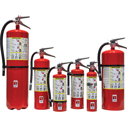 Extincteur d'incendie, ABC, Capacit&eacute; 5 lb Air Extreme Inc.