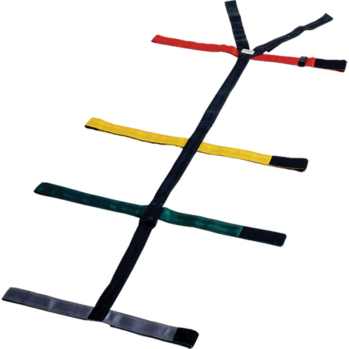 Quick Restraint System Air Extreme Inc.