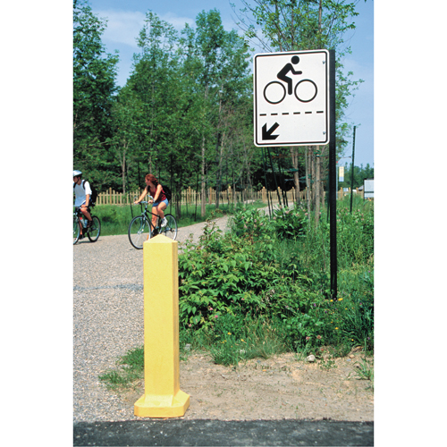 Bornes, Plastique, 33" h x 6" la, Jaune Air Extreme Inc.