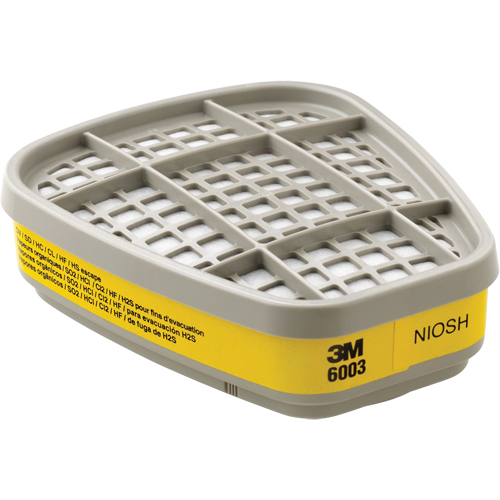 Cartouches pour respirateur s&eacute;rie 6000, Cartouche gaz/vapeur, Vapeurs organiques/Gaz acides Air Extreme Inc.