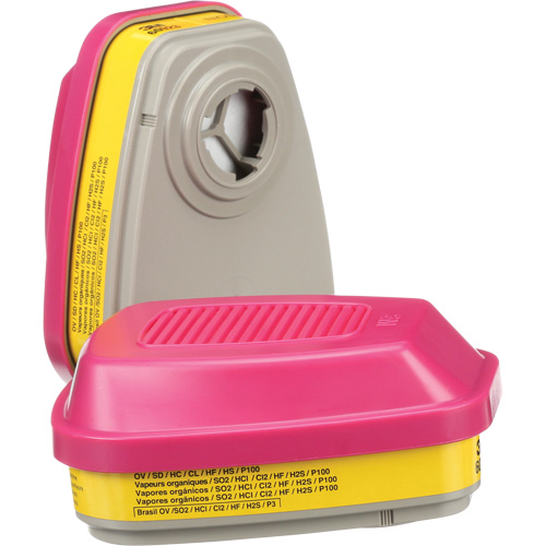 Cartouches pour respirateur s&eacute;rie 6000, Cartouche gaz/vapeur, Vapeurs organiques/Gaz acides/P100 Air Extreme Inc.