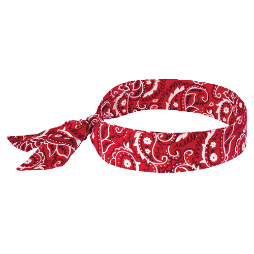 Chill-Its&reg; 6700 Cooling Bandanas, Red Air Extreme Inc.