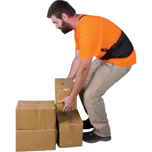 Back Support, Elastic, X-Large Air Extreme Inc.
