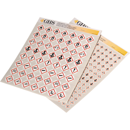 Assortiment d'&eacute;tiquettes avec pictogrammes sgh, Vinyle, Feuille, 1" lo x 1" la Air Extreme Inc.