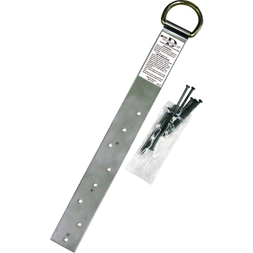 Miller&reg; Single Roof Anchor, D-Ring, Permanent Use Air Extreme Inc.
