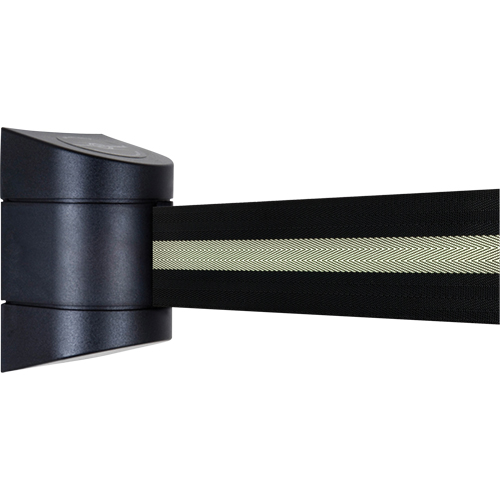 Unit&eacute;s murales Tensabarrier, Plastique, Fixation par vis, 15', Ruban Noir Air Extreme Inc.