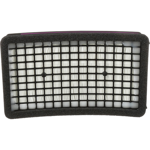 Speedglas HE PAPR Cartridge, P100 Filter, Pack of 1 Air Extreme Inc.