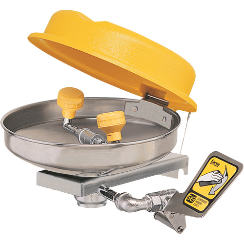 Poste de douche oculaire, Installation Montage mural, Bol Acier inoxydable Air Extreme Inc.