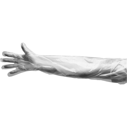 Gants jetables, Grand, Poly&eacute;thyl&egrave;ne, 9 mils, Poudr&eacute;s, Transparent Air Extreme Inc.