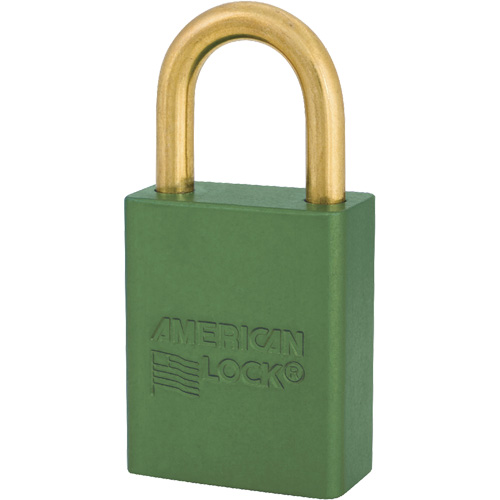 Cadenas Air Extreme Inc.
