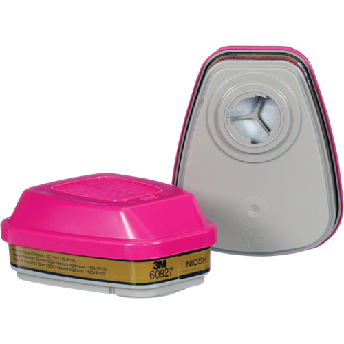 Cartouche, Combinaison cartouche et filtre contre les particules pour gaz/vapeurs, Gaz multiples/Vapeurs/P100 Air Extreme Inc.