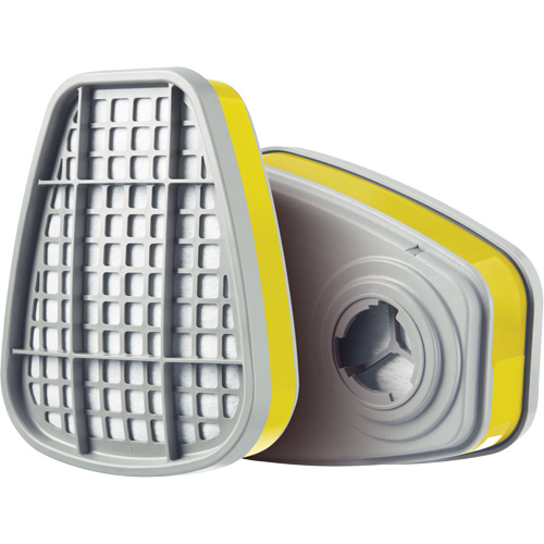 Cartridge, Gas/Vapour Cartridge, Multi-Gas/Vapour Air Extreme Inc.