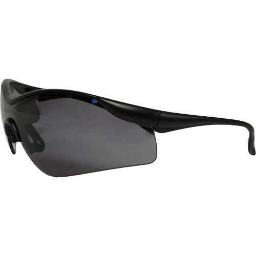 Miranda Safety Glasses, Grey Lens, Anti-Fog/Anti-Scratch, Meets/Exceeds CSA Z94.3 Air Extreme Inc.