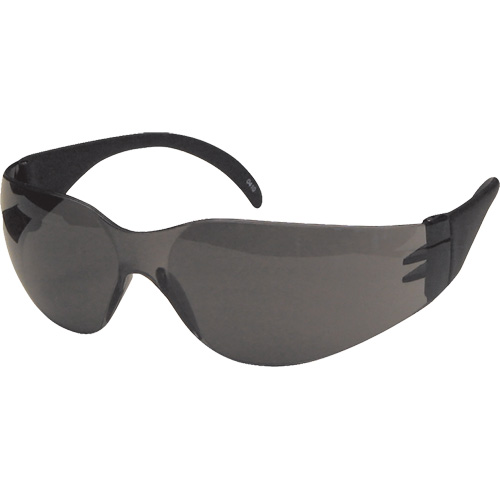 CeeTec Safety Glasses, Grey Lens, Anti-Fog/Anti-Scratch, Meets/Exceeds CSA Z94.3 Air Extreme Inc.